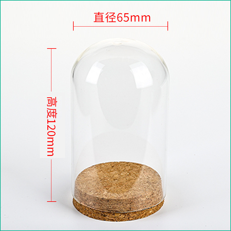 Wedding Zoo - 36pcs D65XH120mm Lege Helder Glazen Cloche